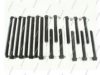 NPS T128A15 Bolt Kit, cylinder head